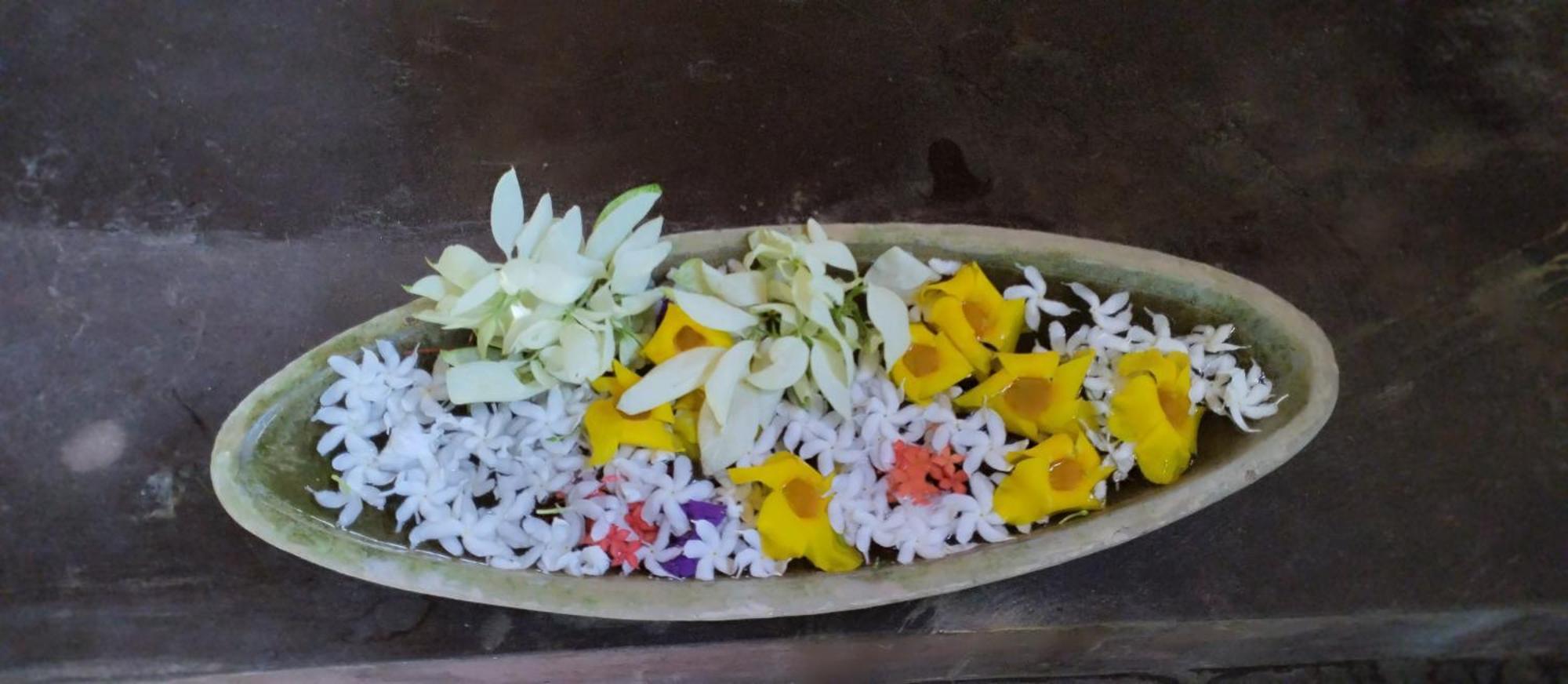Sansala Guesthouse & Restaurant Tangalle Dış mekan fotoğraf